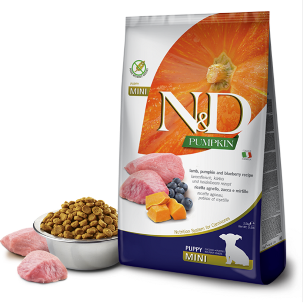 N&D Pumpkin Kuzu Etli Balkabaklı ve Yaban Mersinli 2.5 kg Küçük Irk Yavru Köpek Maması