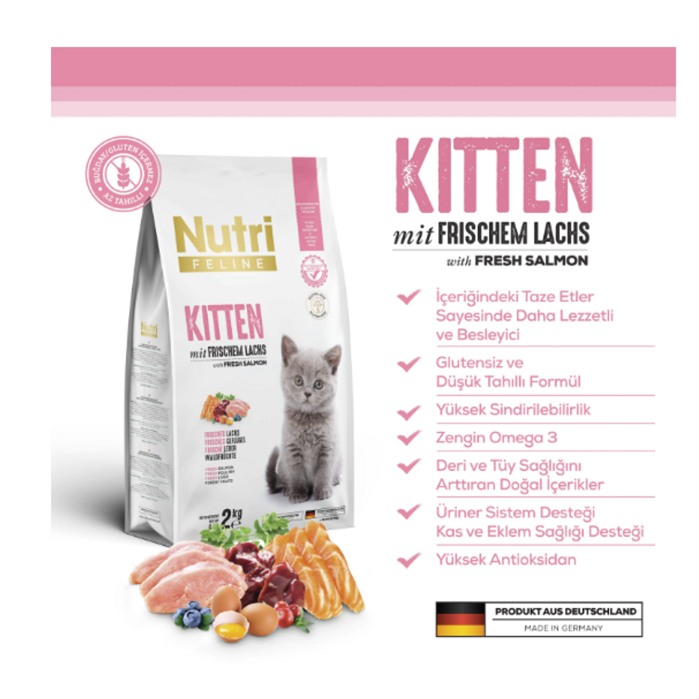 Nutri Feline Kitten Somonlu 10 Kg Yavru Kedi Maması